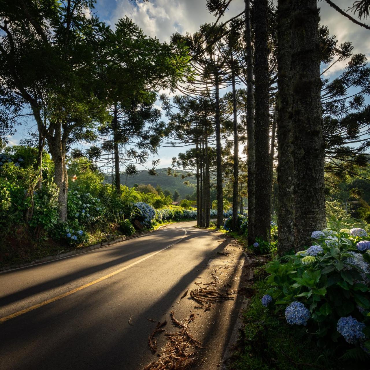Hotel Fioreze Chales Gramado Exterior photo